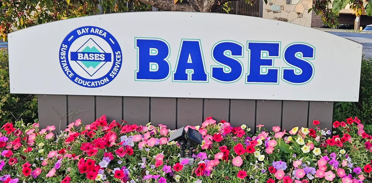 Bay Area Substance Education Services