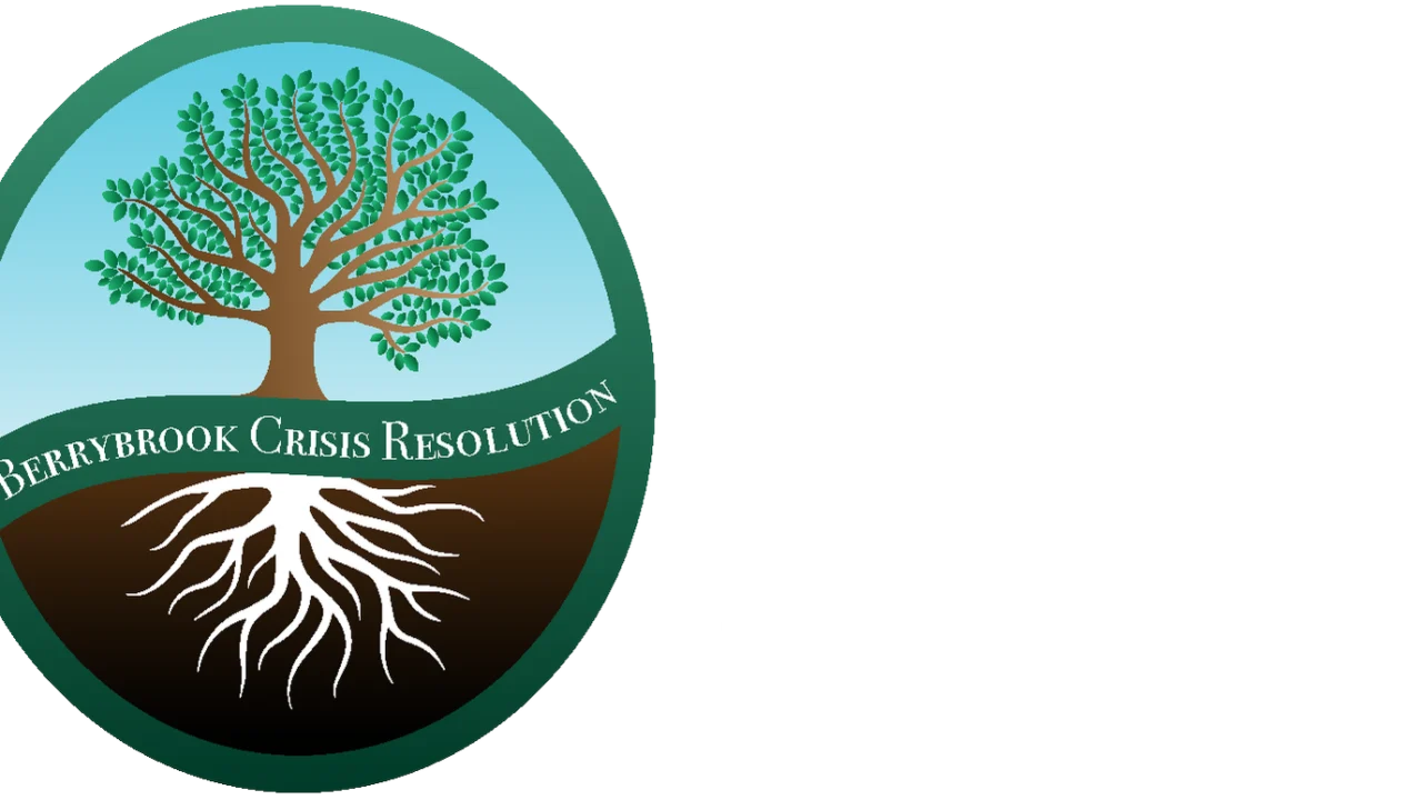 Berrybrook Crisis Resolution LLC