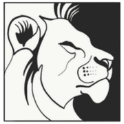 Courage Center LLC