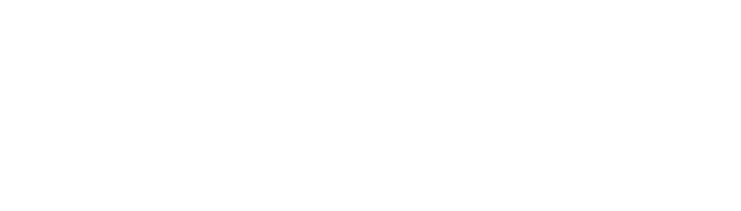Healthy Lives LLC